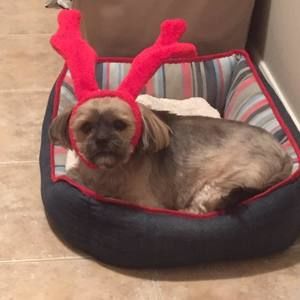 Meet your Posher, Sandra